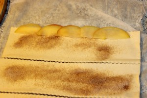 Herstellung Apfelrosen1b