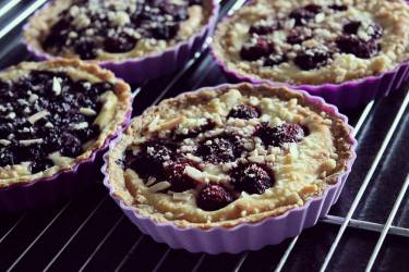 Ninas Beeren-Topfen-Tartlettes